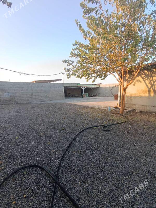 Sklad Seh 20-sotak - Ak bugdaý etraby - img 2