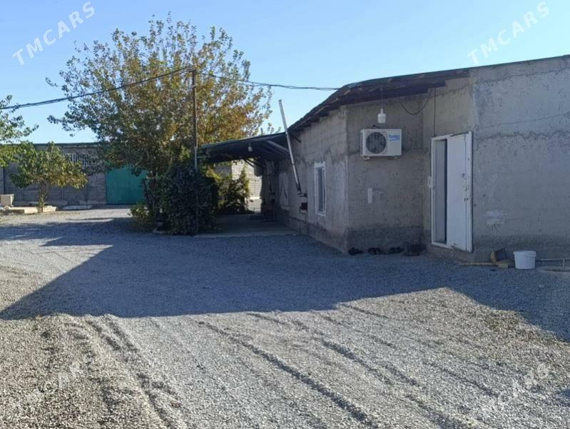 Sklad Seh 20-sotak - Ak bugdaý etraby - img 4