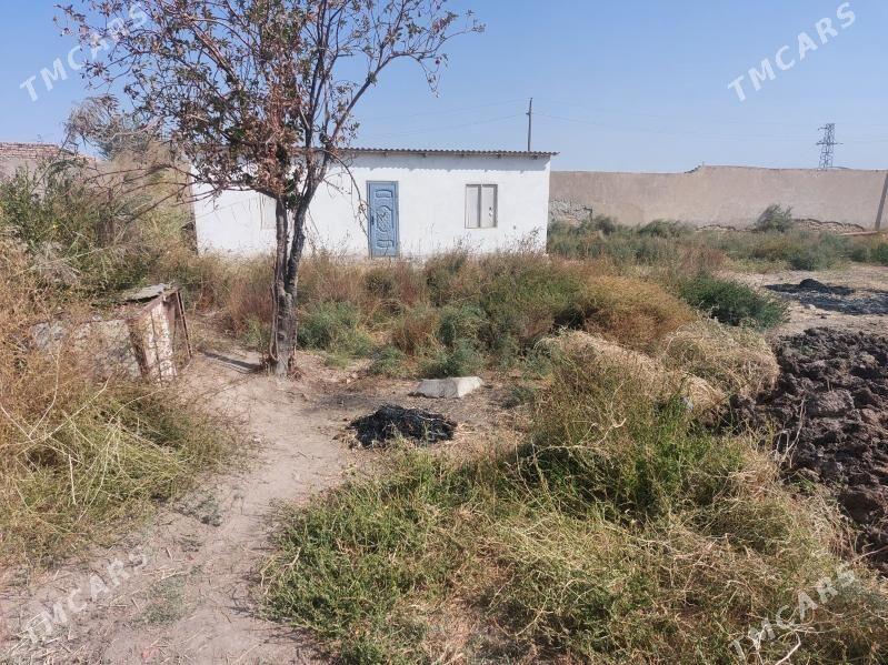 6 соток джай - Чарджоу - img 2