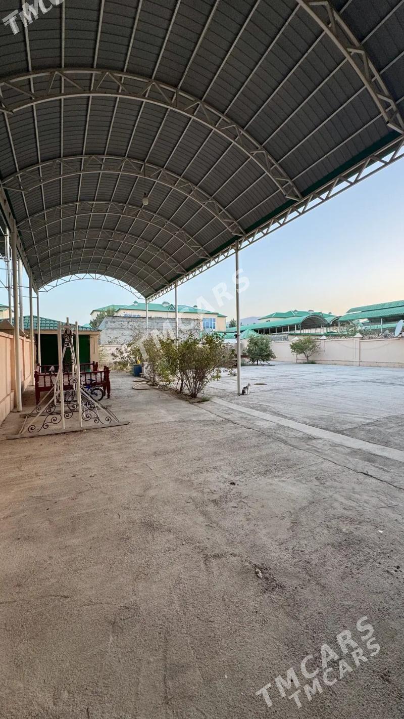 buzmeyin koteź - Ашхабад - img 1