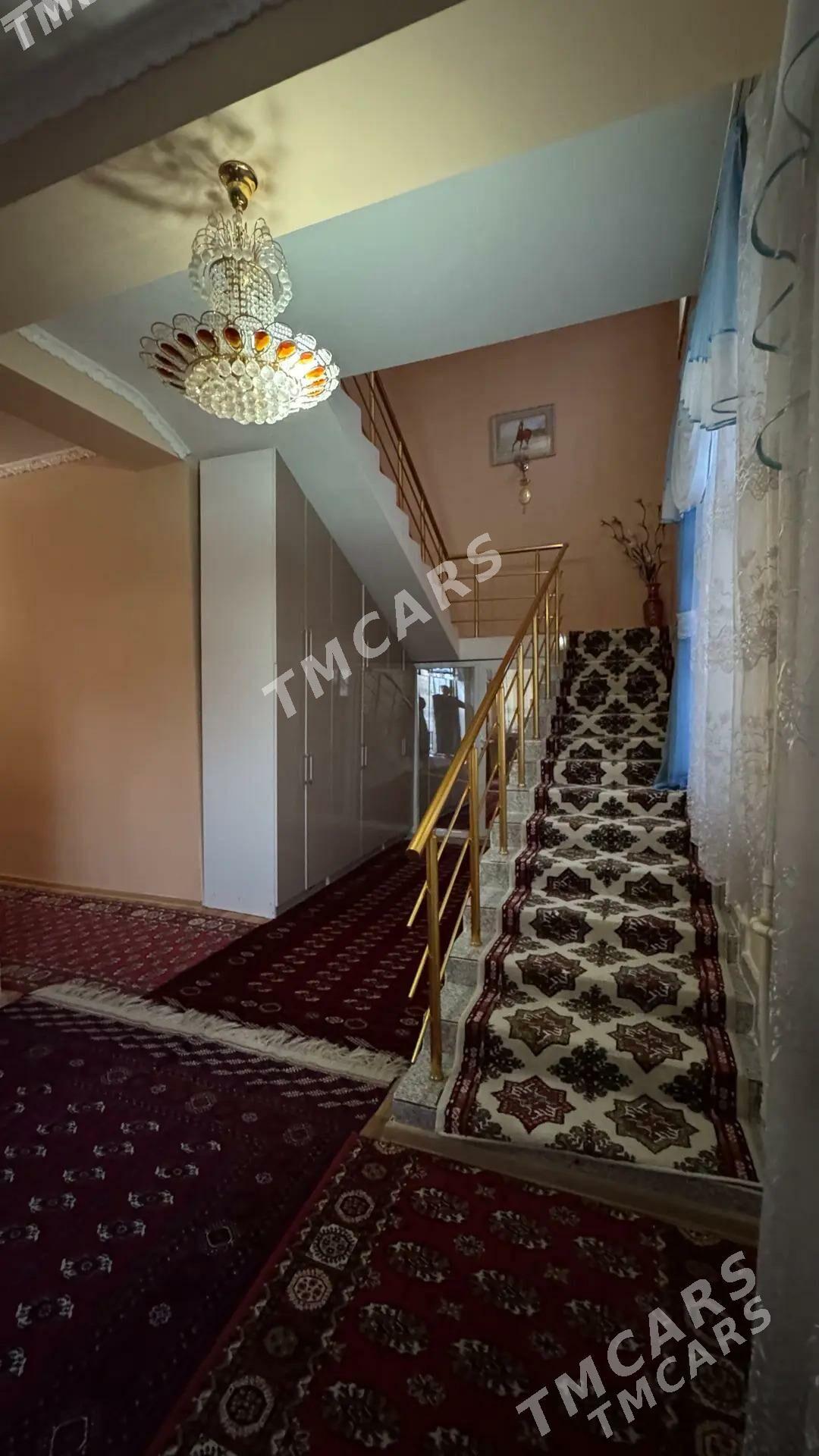 buzmeyin koteź - Ашхабад - img 4