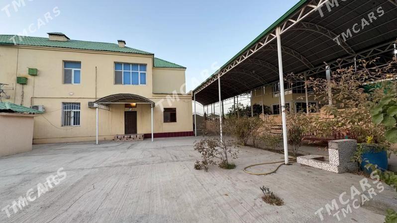 buzmeyin koteź - Ашхабад - img 3