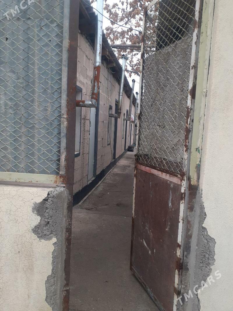 wermýanka kwartirant jaý - Кëши - img 2