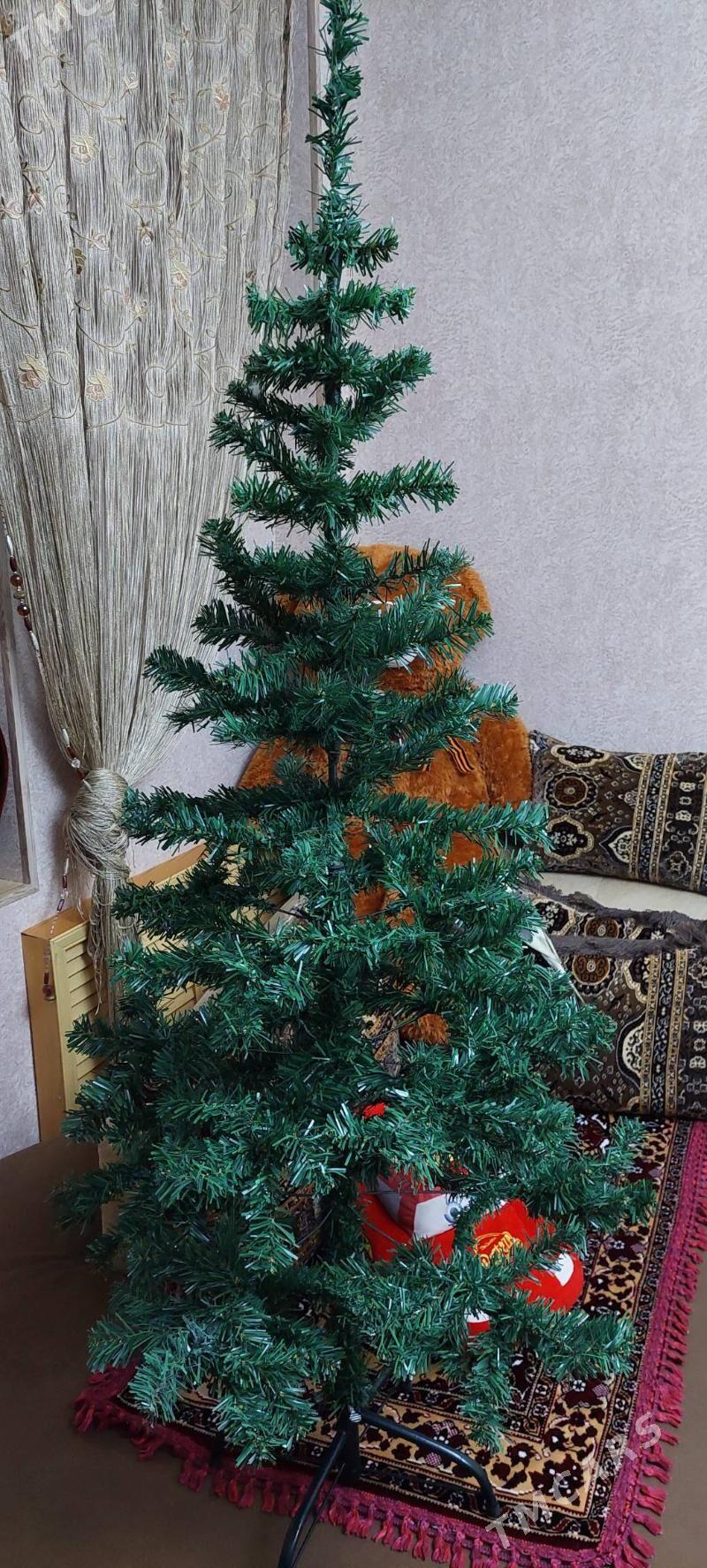 ЕЛОЧКА - Ашхабад - img 2