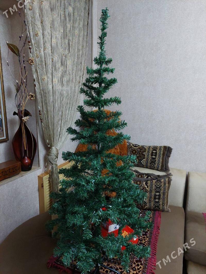 ЕЛОЧКА - Ашхабад - img 1