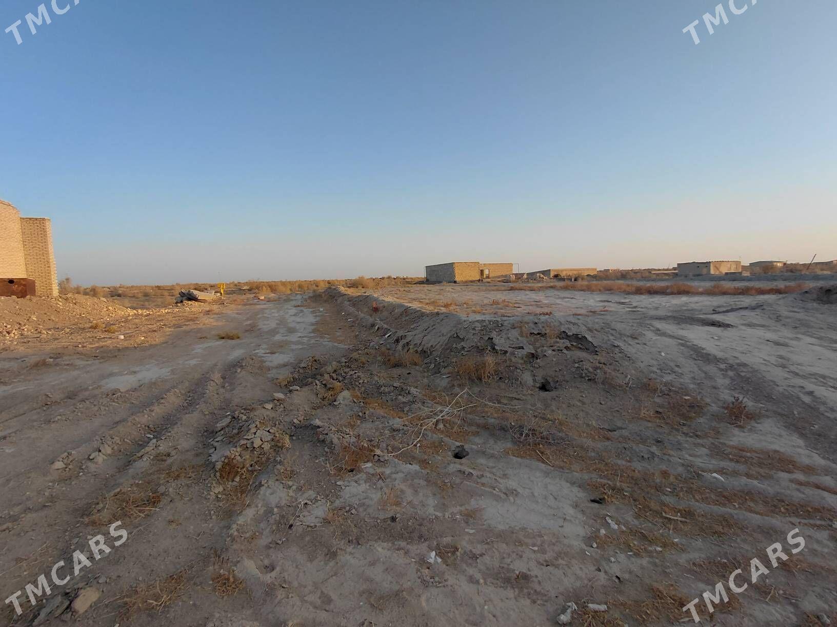 Bos mellek - Сакар - img 4