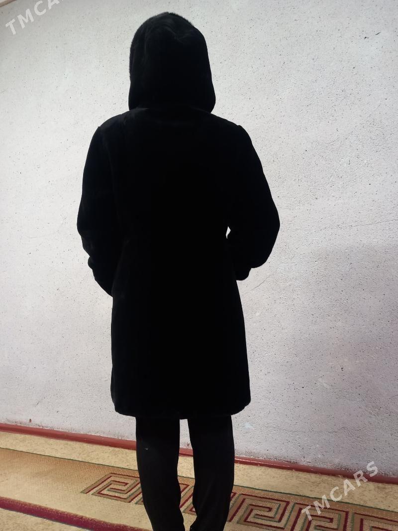 shuba dubayski - Кёнеургенч - img 2