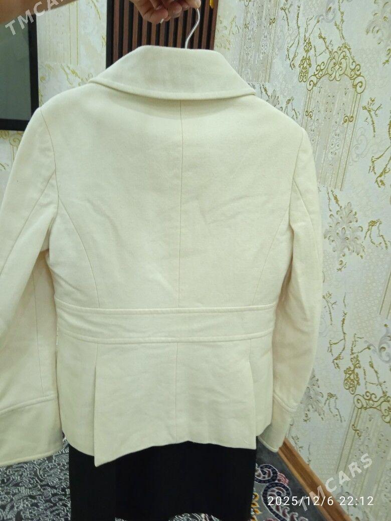 palto - Дашогуз - img 2