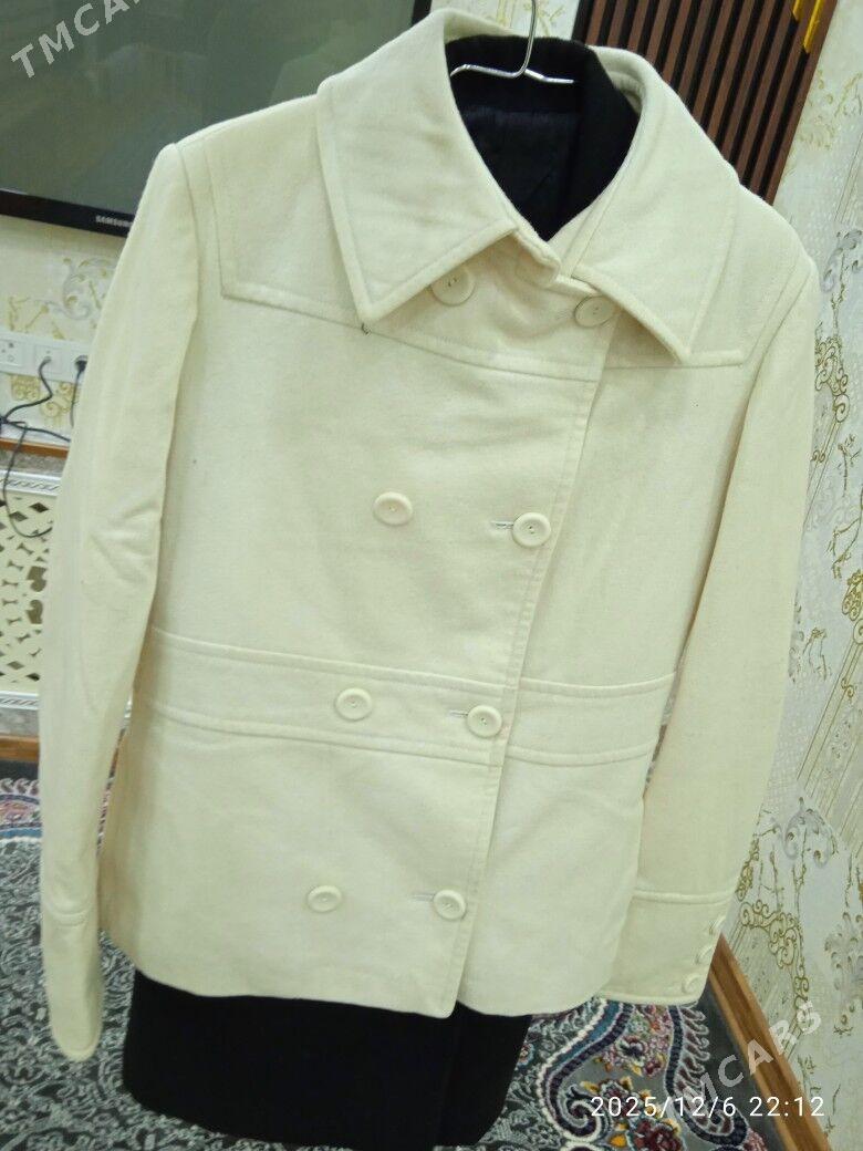 palto - Дашогуз - img 1