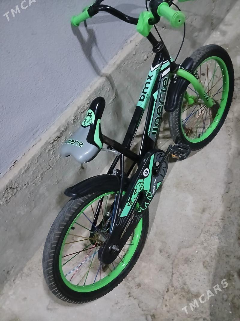 tigir - Büzmeýin - img 2