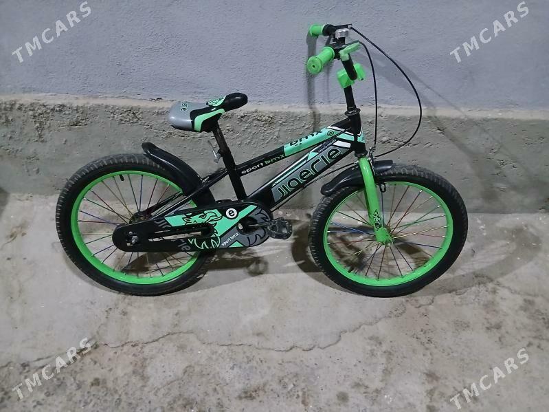 tigir - Büzmeýin - img 3