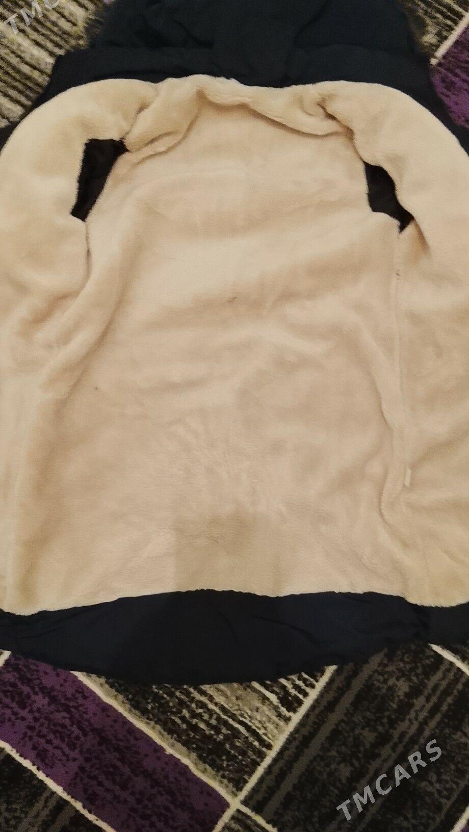 kurtkalar - Türkmenbaşy - img 2