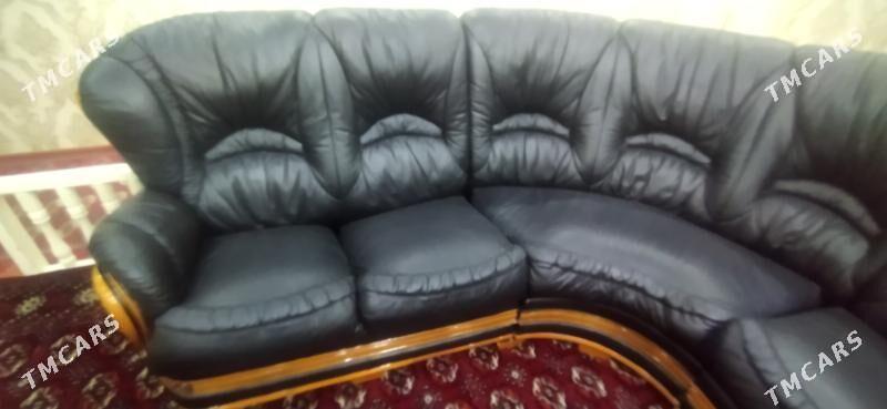  диван diwan  - Daşoguz - img 3