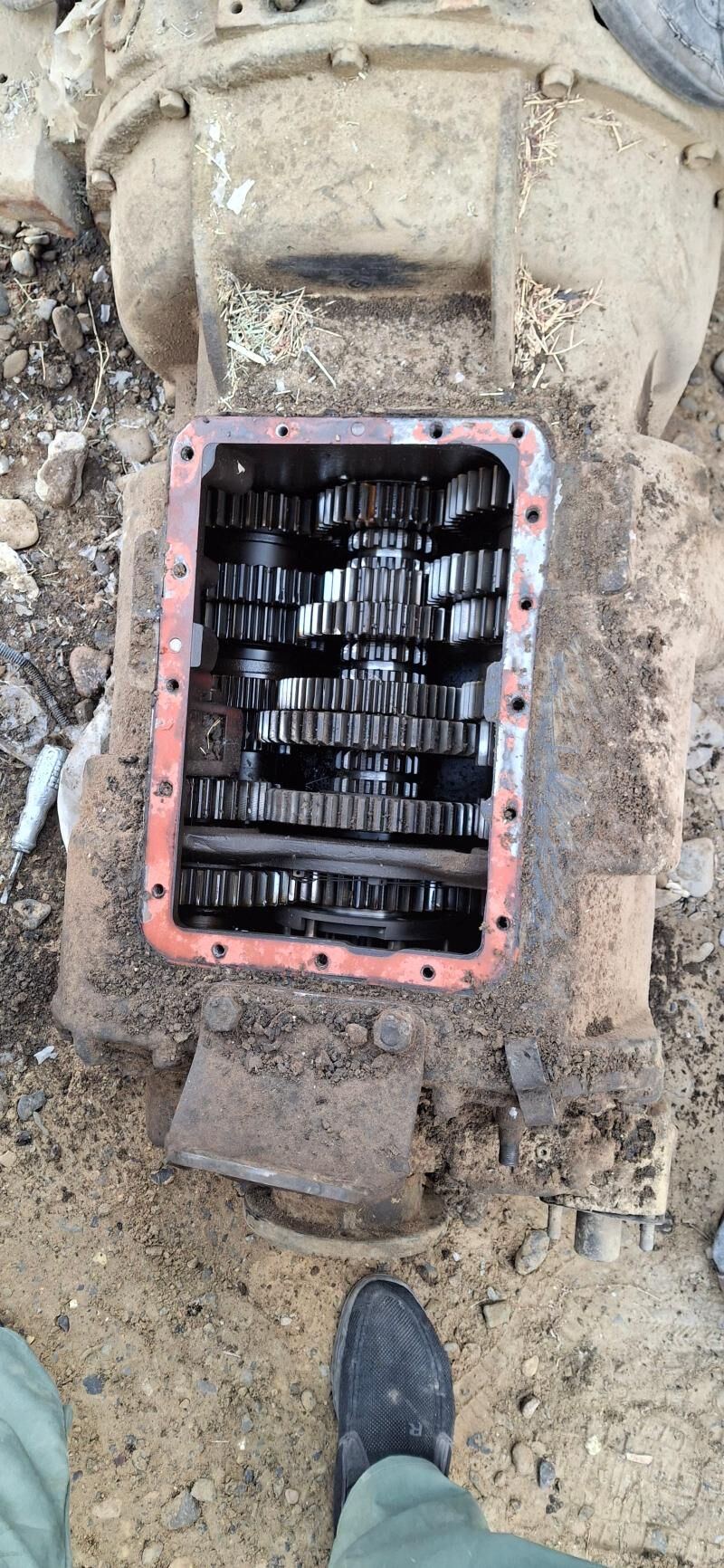 maz karopga 15 000 TMT - Мары - img 3