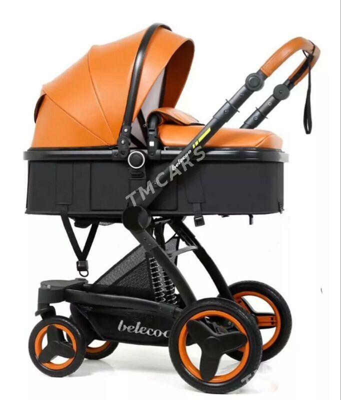 caga kalyaska koza - Parahat 7 - img 2