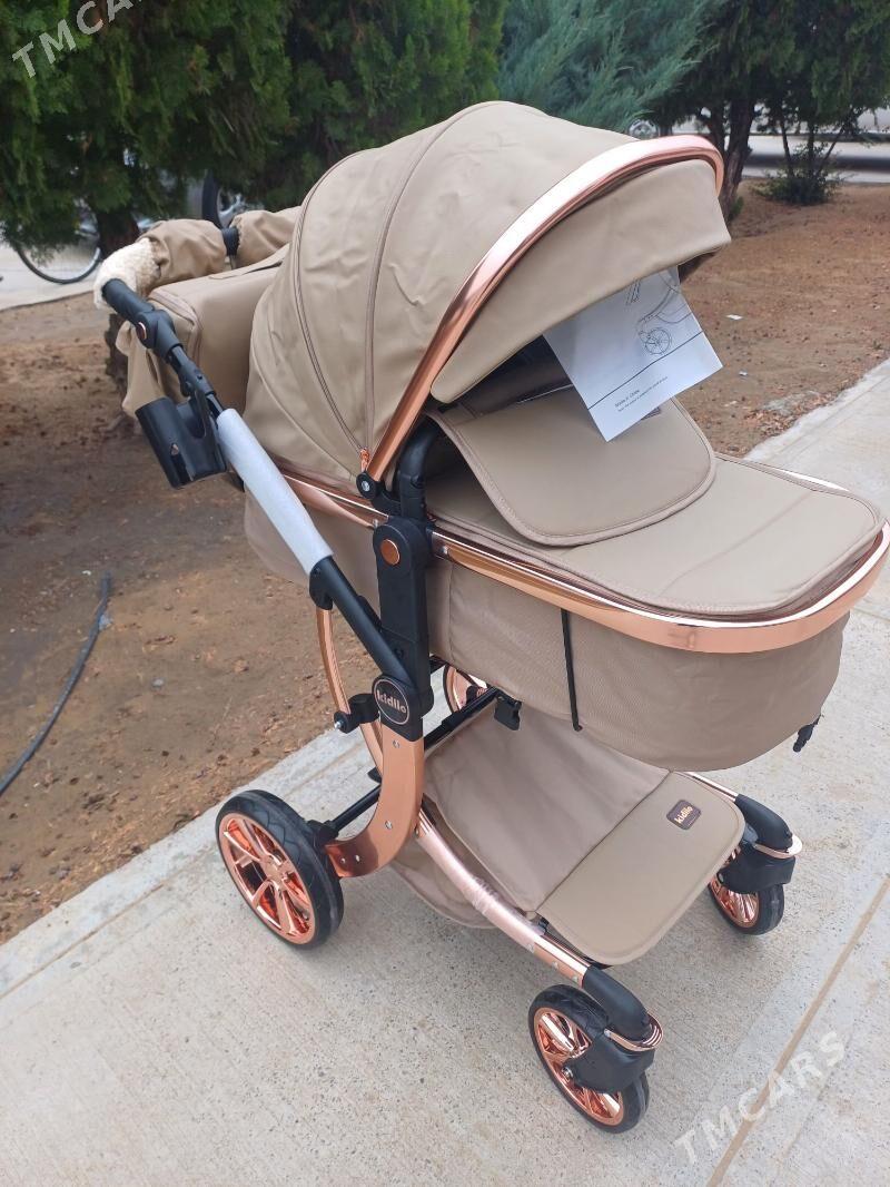 caga kalyaska koza - Parahat 7 - img 4