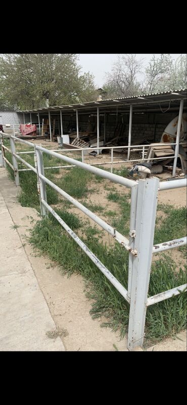 Towuk ,Ketek/Arend - Ашхабад - img 2