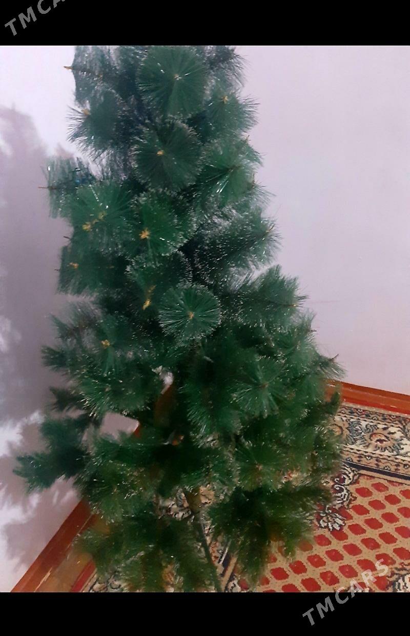 ёлка arça - Daşoguz - img 3