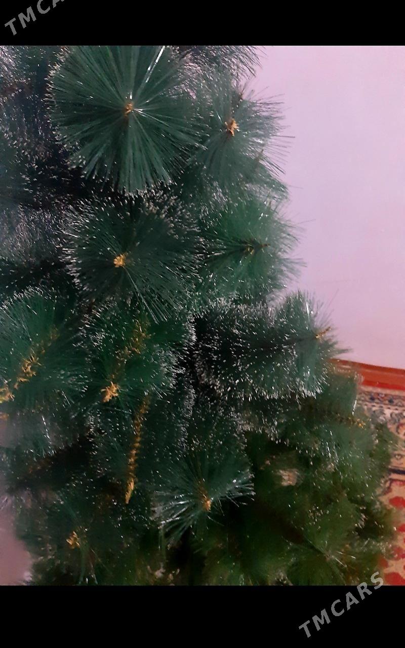 ёлка arça - Daşoguz - img 2