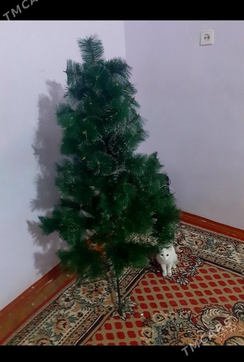 ёлка arça - Daşoguz - img 4
