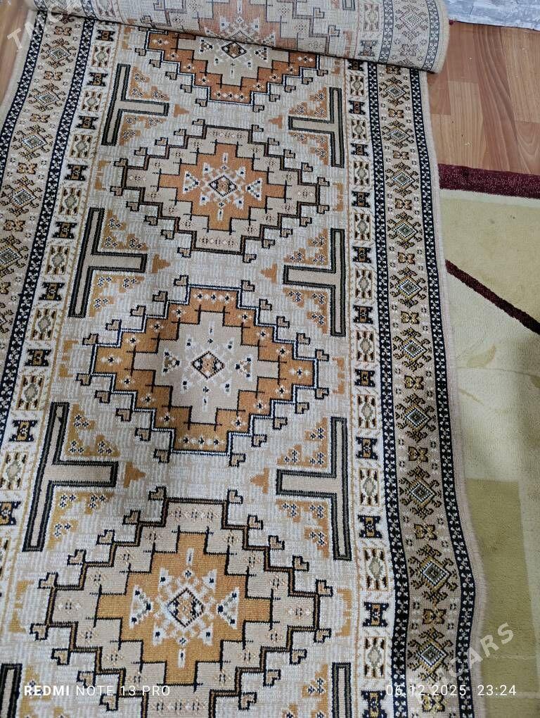 haly - Türkmenabat - img 1