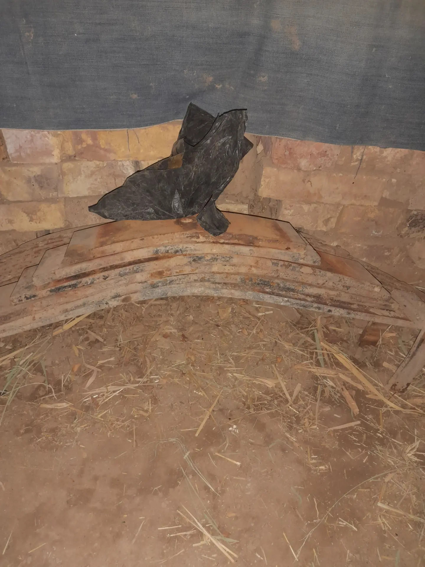 maz 1 500 TMT - Дашогуз - img 3