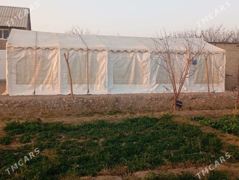 Palata - Бабадайхан - img 3