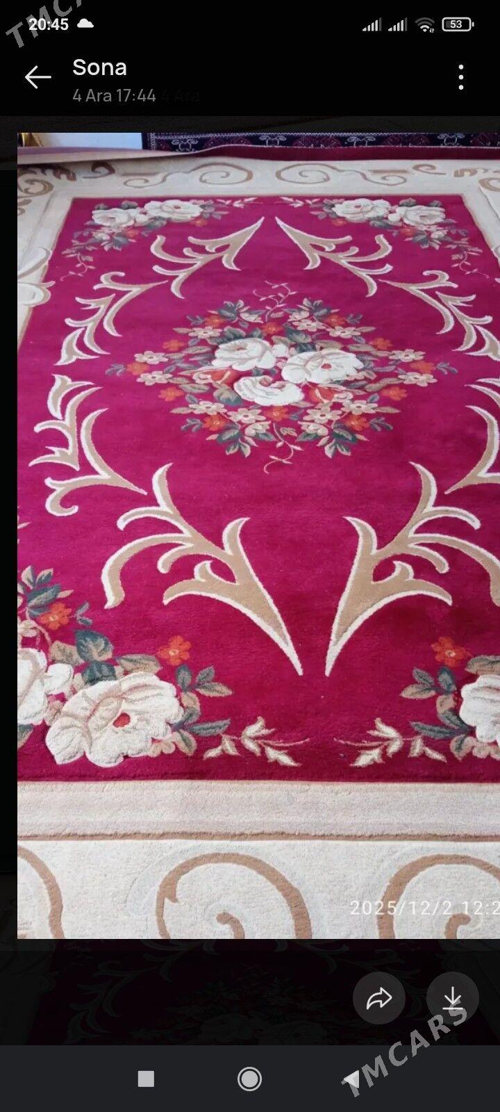 haly - Jebel - img 2