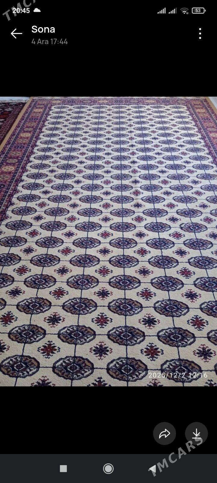 haly - Jebel - img 1