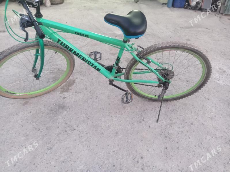 tigir - Bedew - img 1