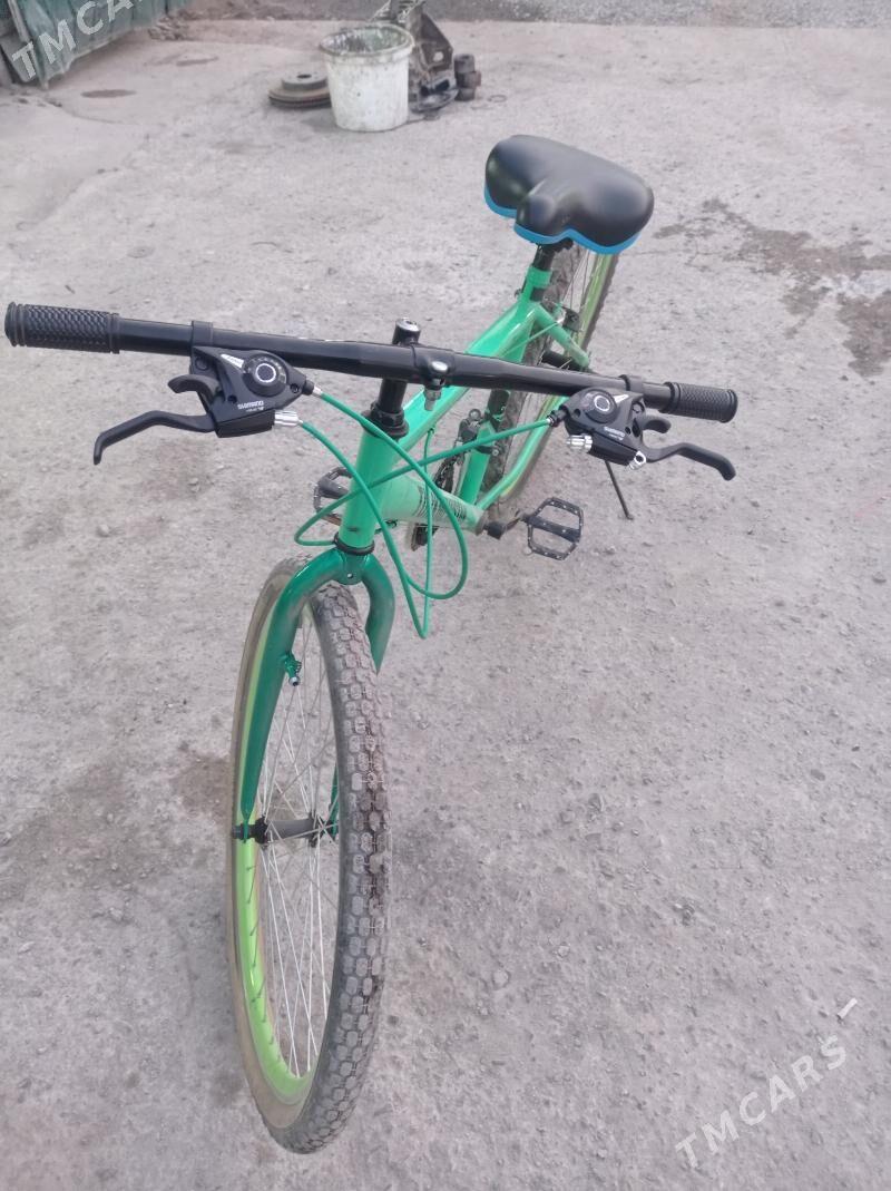 tigir - Bedew - img 2