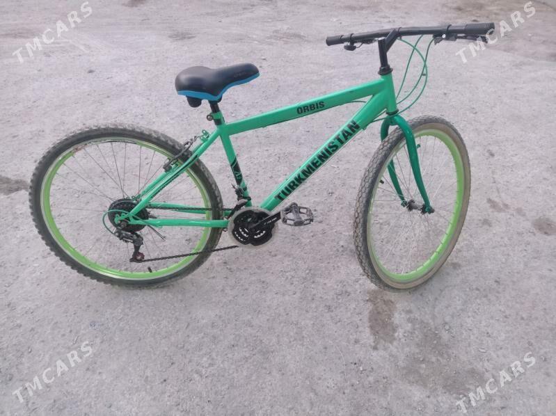 tigir - Bedew - img 3