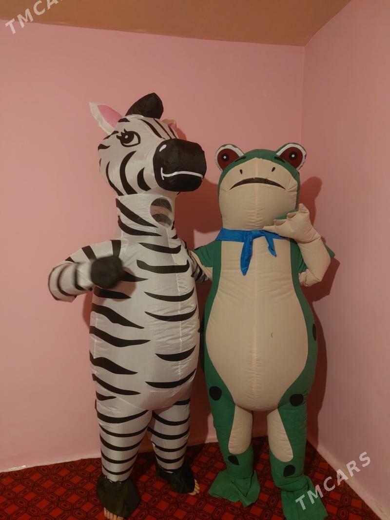 zebra miska - Garabekewül - img 2