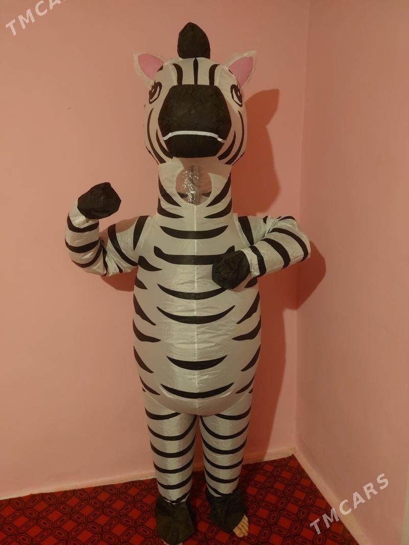 zebra miska - Garabekewül - img 1