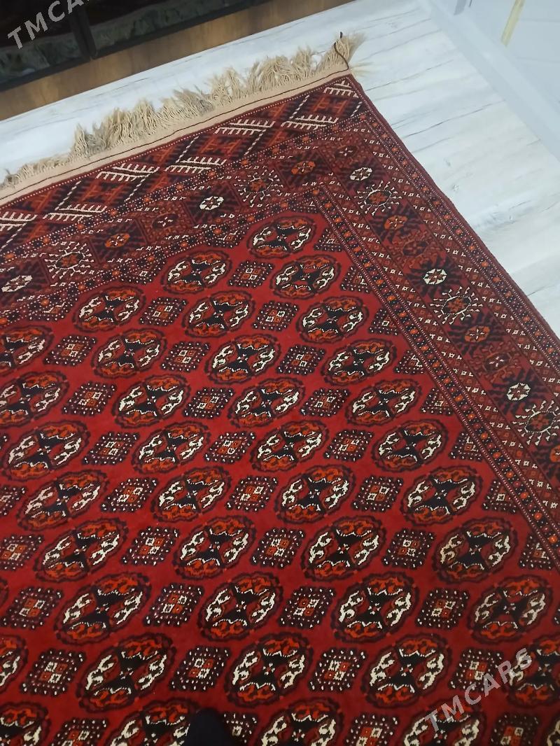 El Haly - Балканабат - img 3