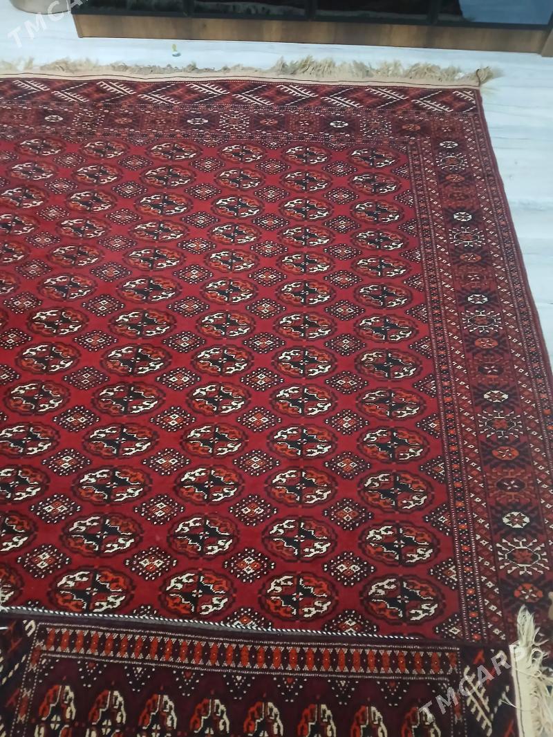 El Haly - Балканабат - img 1