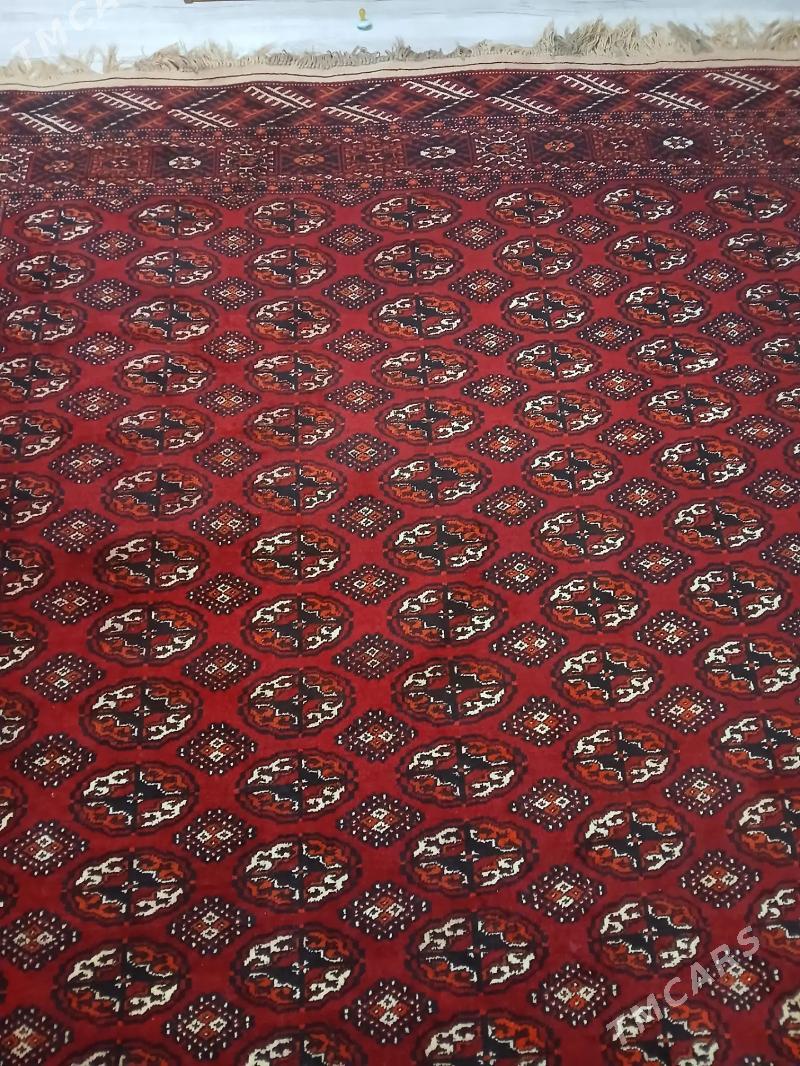 El Haly - Балканабат - img 2