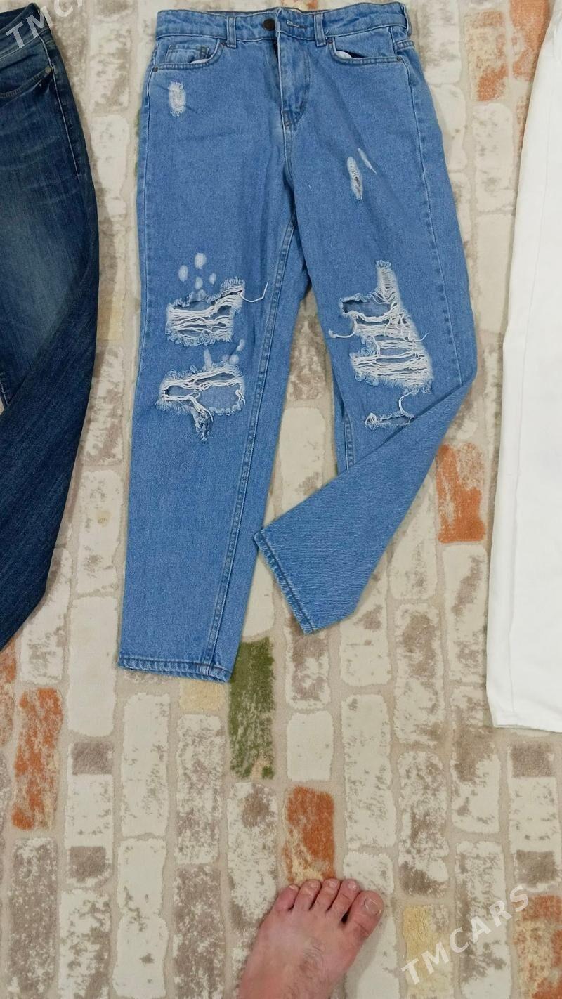 jinsi - Gyzylarbat - img 4