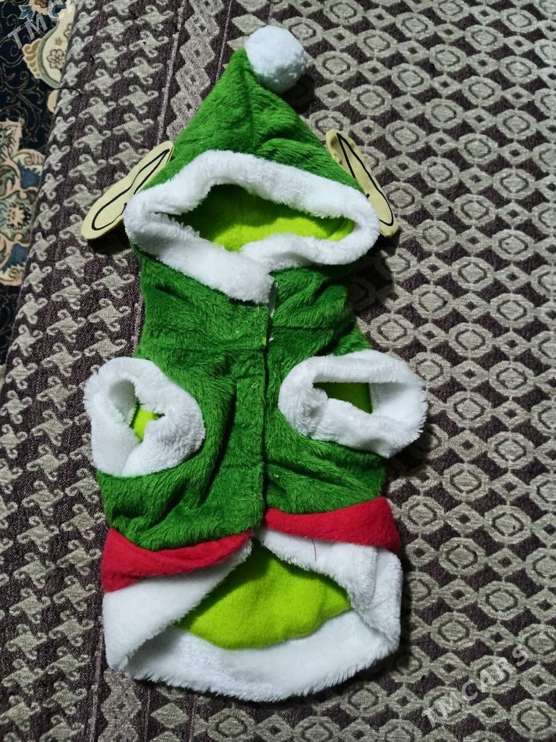 одежда для кошек - Туркменбаши - img 5