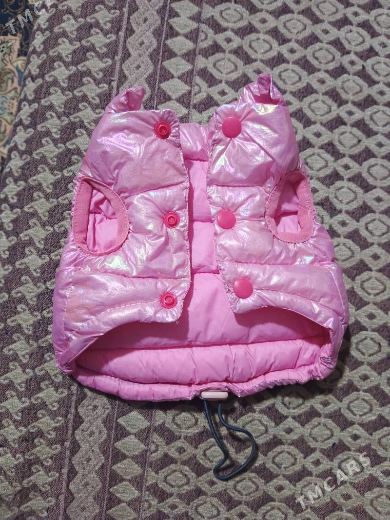 одежда для кошек - Туркменбаши - img 1