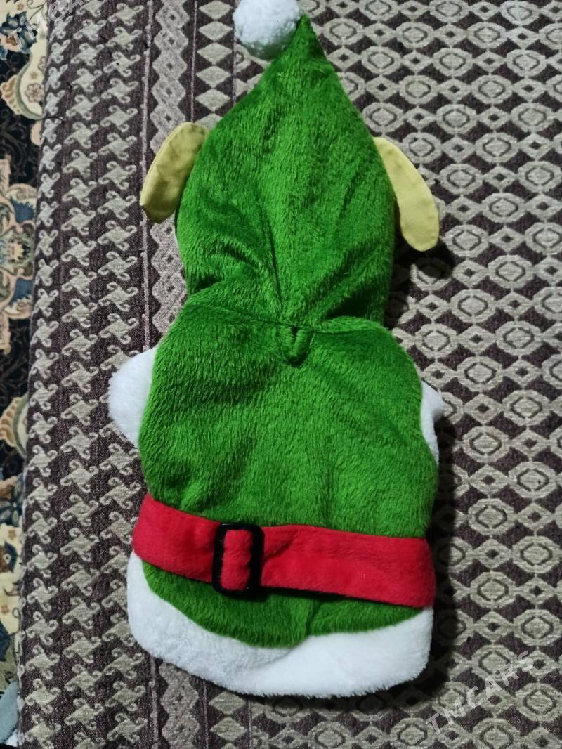 одежда для кошек - Туркменбаши - img 6