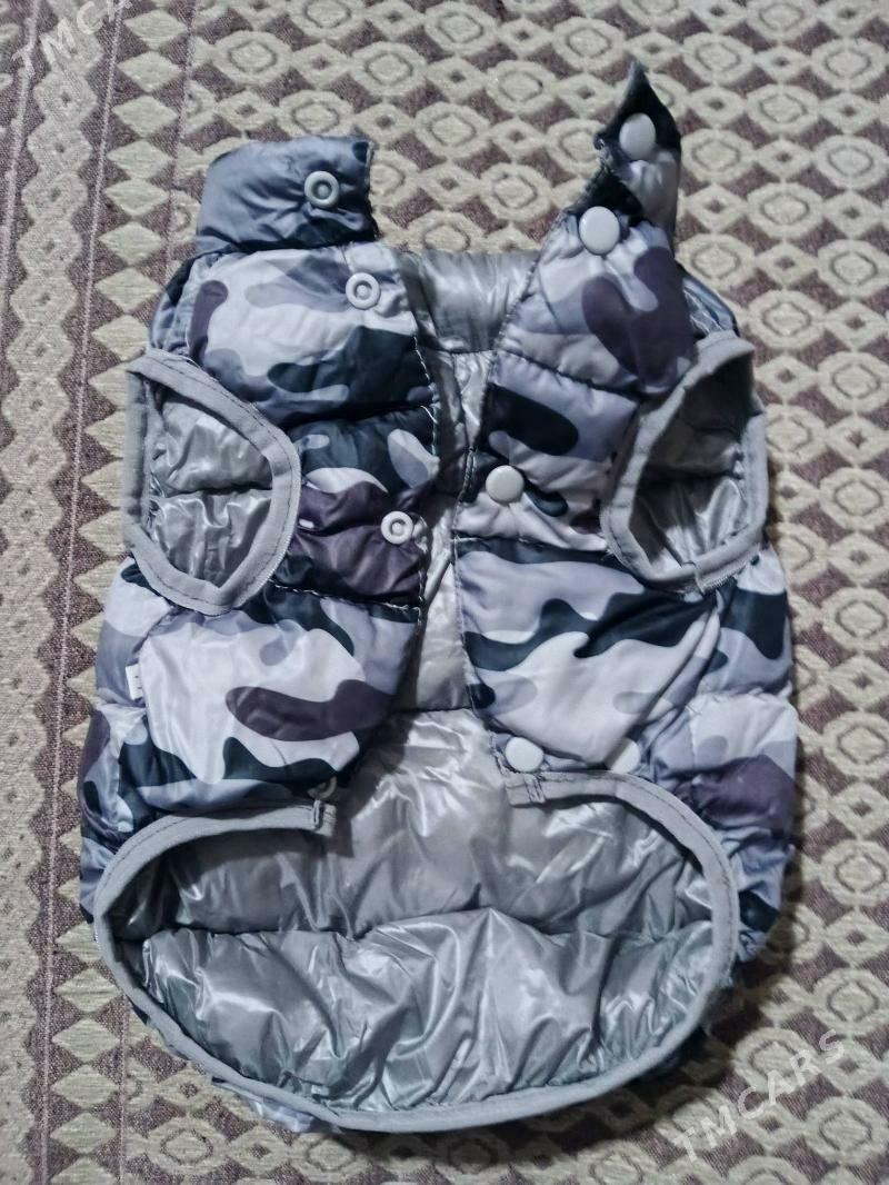 одежда для кошек - Туркменбаши - img 3