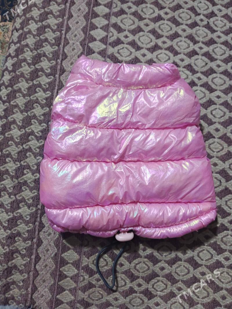 одежда для кошек - Туркменбаши - img 2