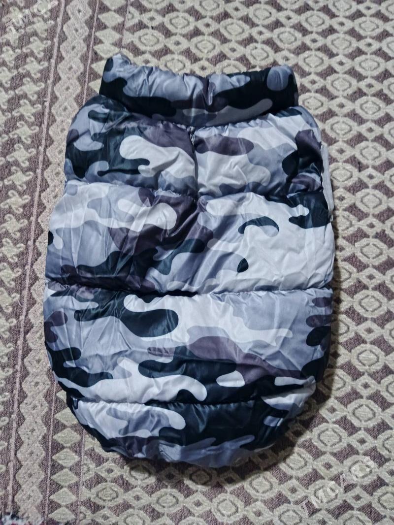 одежда для кошек - Туркменбаши - img 4