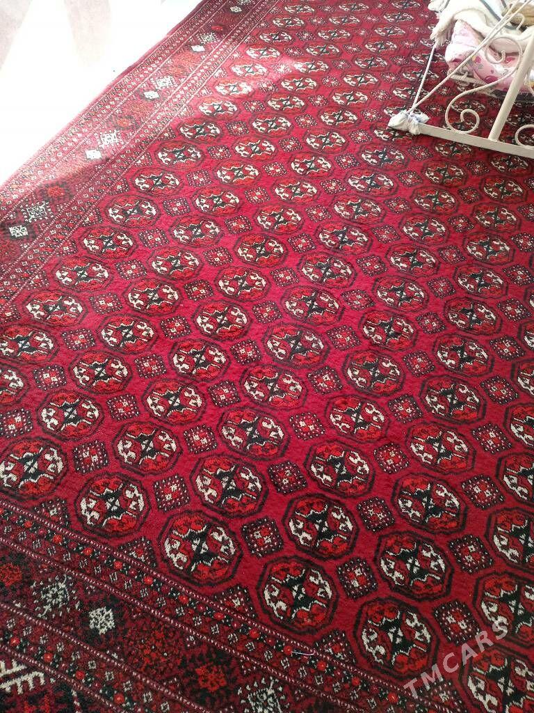 Haly - Балканабат - img 2