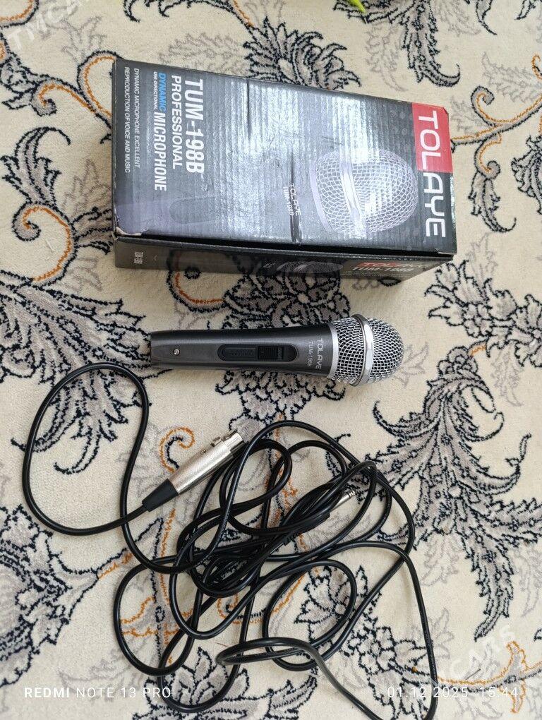 mikrafon  Tolaya - Хитровка - img 3