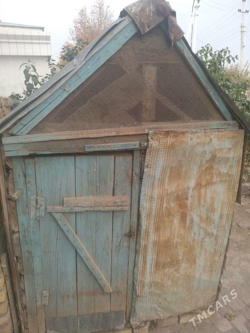 kepter ketek - Туркменабат - img 1