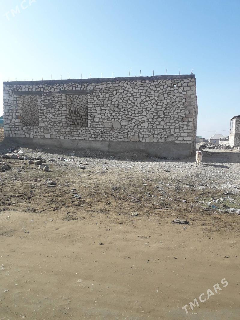 Boyy yetirilen uly beyik jay - Balkanabat - img 3