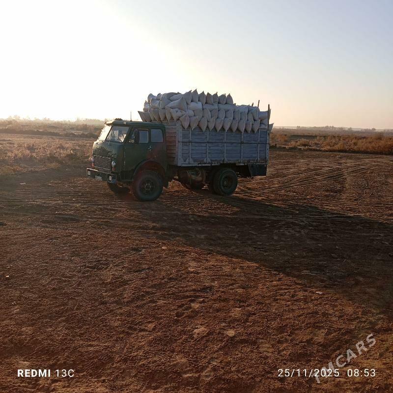 Maz Samosval 1984 - 200 000 TMT - Ak bugdaý etraby - img 2