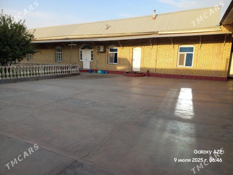 MARY ŞÄHER SATLYK JAÝ 12 SOTUK - Mary - img 2